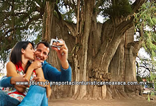 Tours Privados en Oaxaca